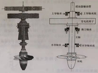水輪發(fā)電機(jī)組結(jié)構(gòu)特點